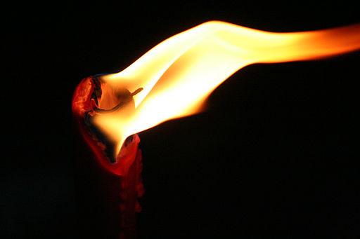 Using torch modules