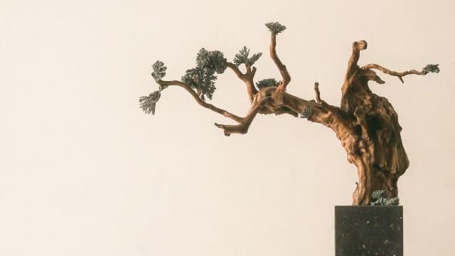 bonsai 0.1.0
